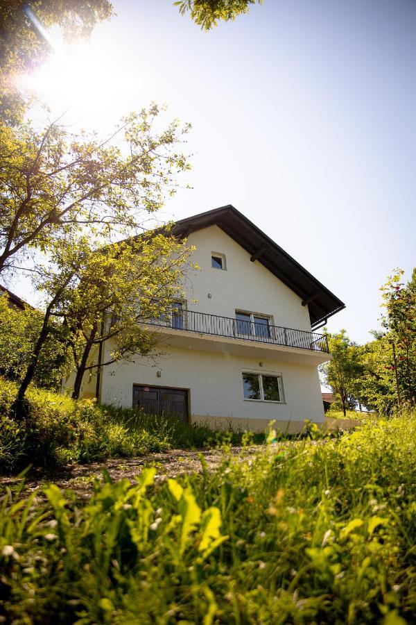 Rustic House In A Beautiful Village Cerklje ob Krki Экстерьер фото